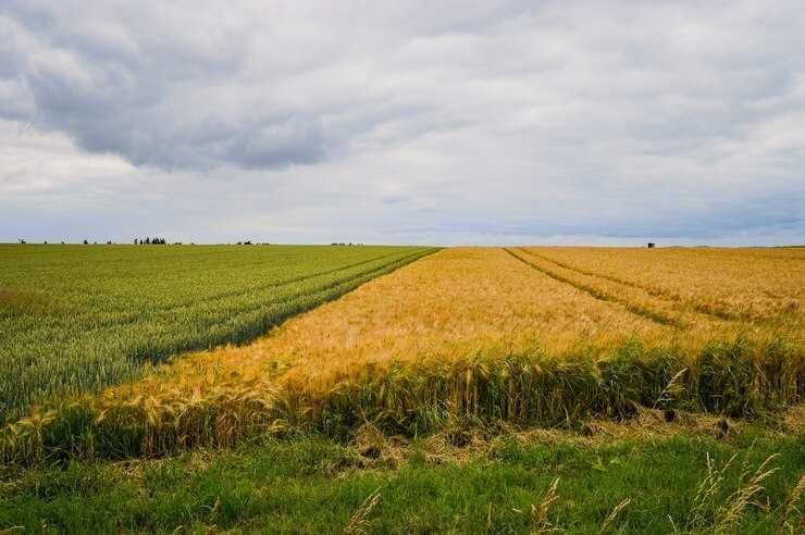 Земельний пай продаж