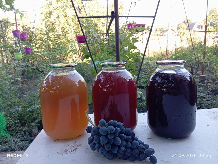 Сік виноградний 2025 року