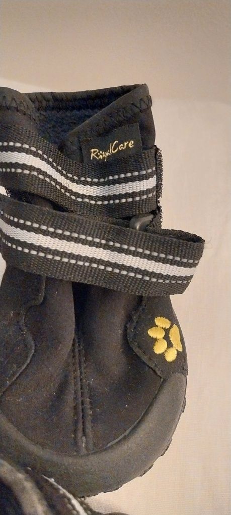 Botas novas n. 7 para cão