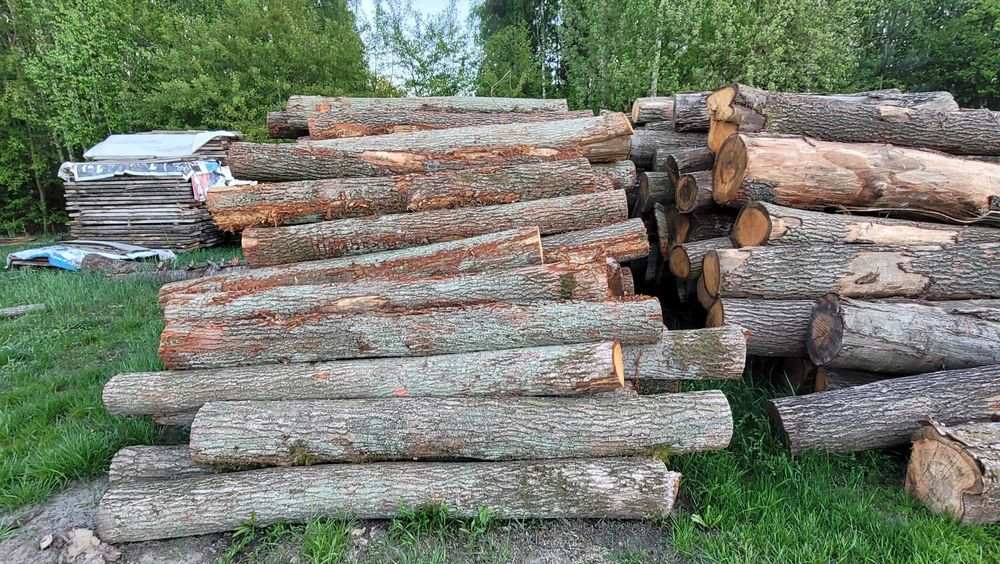 Drewno Dębowe w wałkach, w kawałkach, 2.5m