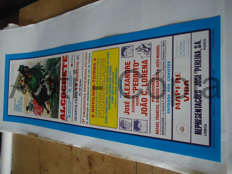 Toiros - Cartazes de Montra 8