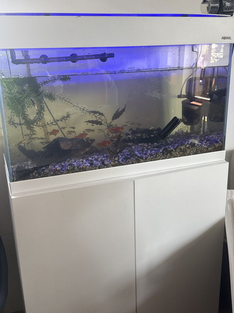 Akwarium aquael 110l s szafka i calym osprzetem