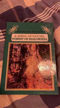A jewel of nature - Forest of Bialowieza -Wysmułek