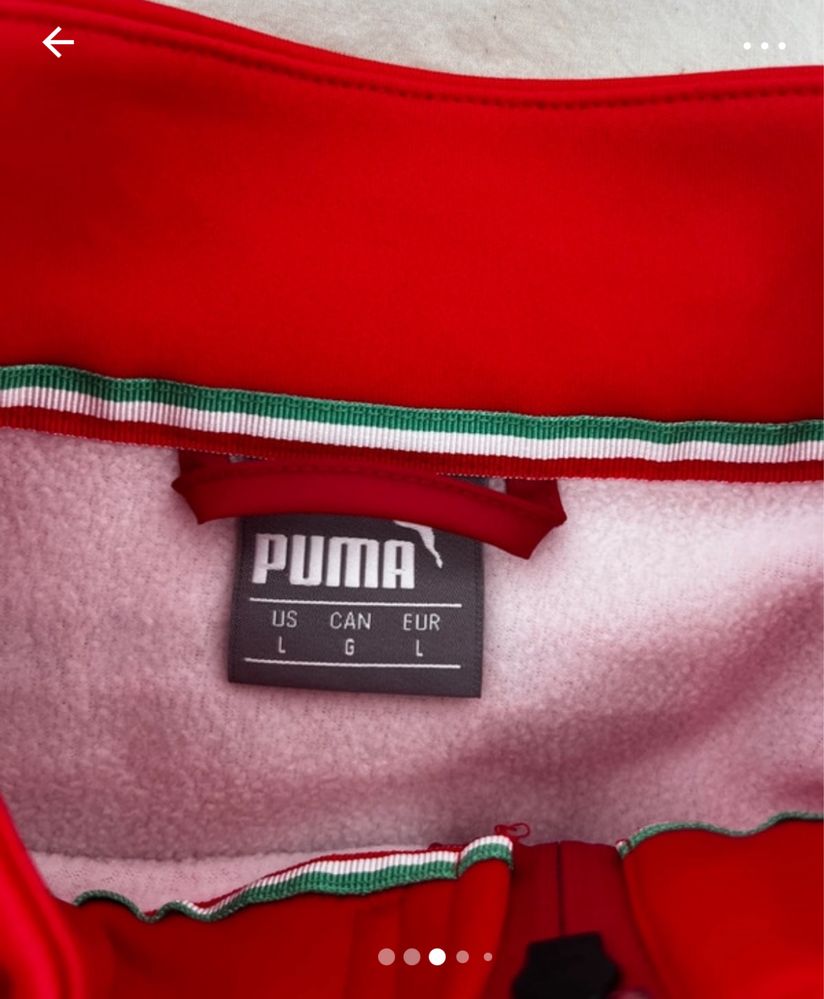 Casao Ferrari Puma