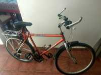 Bicicleta CHIGAGO Giante