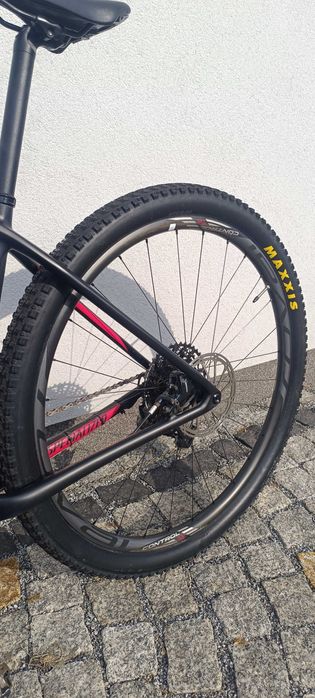 Specialized Epic Hardtail MTB