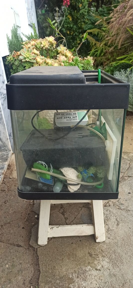 Aquário de 60Litros