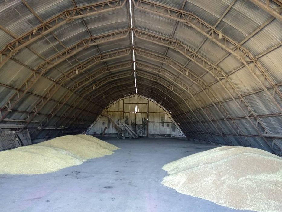 имущественный комплекс, ферма, зернохранилище, с. Купьеватое Полт обл