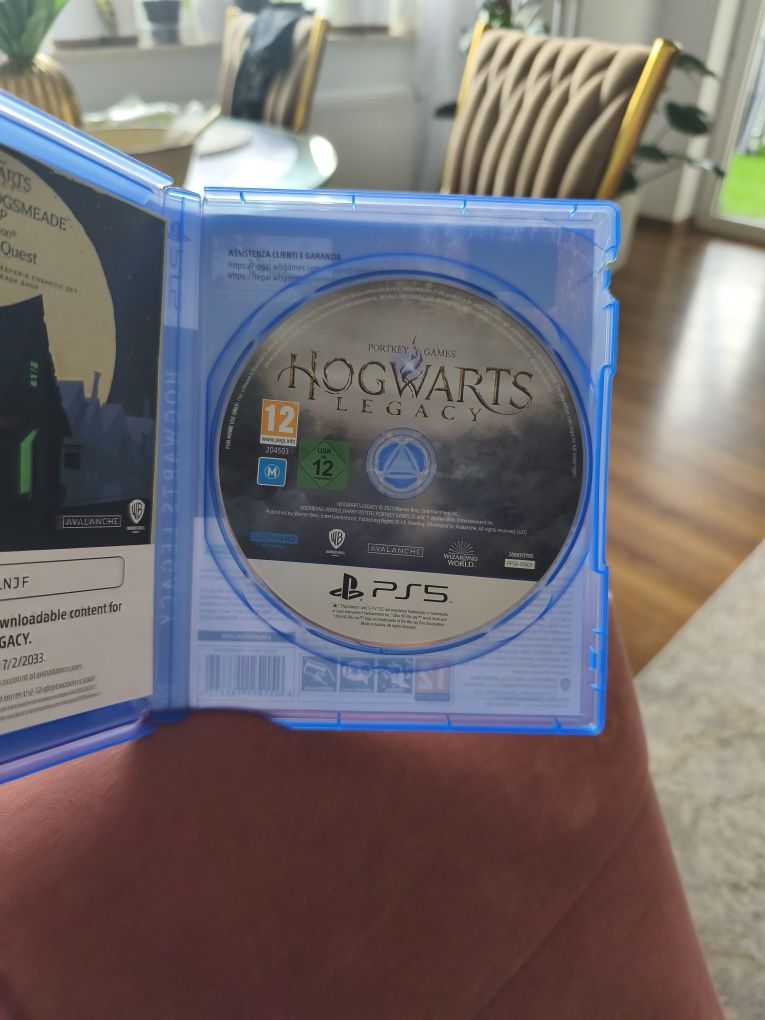 Gra Hogwarts Legacy PS5