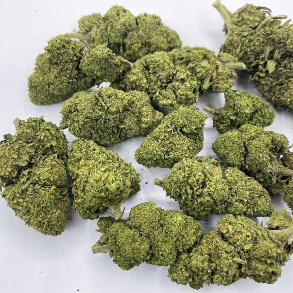 Jasny Zielony Susz CBD Pineapple Express 10g || MALANA.PL