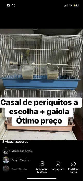Gaiola + casal de periquitos de poupa