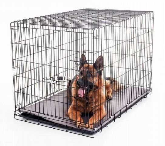 Аренда клеток для собак-ассортимент розмірів
