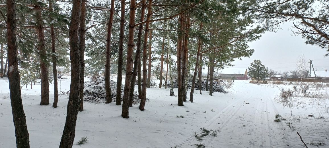 Ділянка з лісом 1га. під забудову 2га. ОСГ