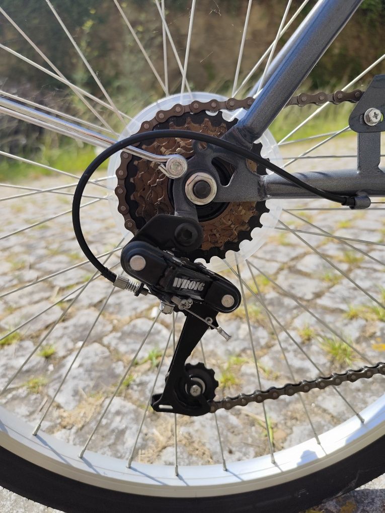 Bicicleta citadina