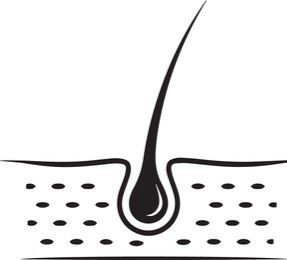 Депіляція Київ (воскова , цукрова)