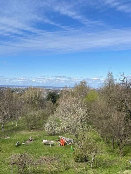 Dwa domy przy Wieliczce obok Krakowa, zieleń, piękny widok, obok park