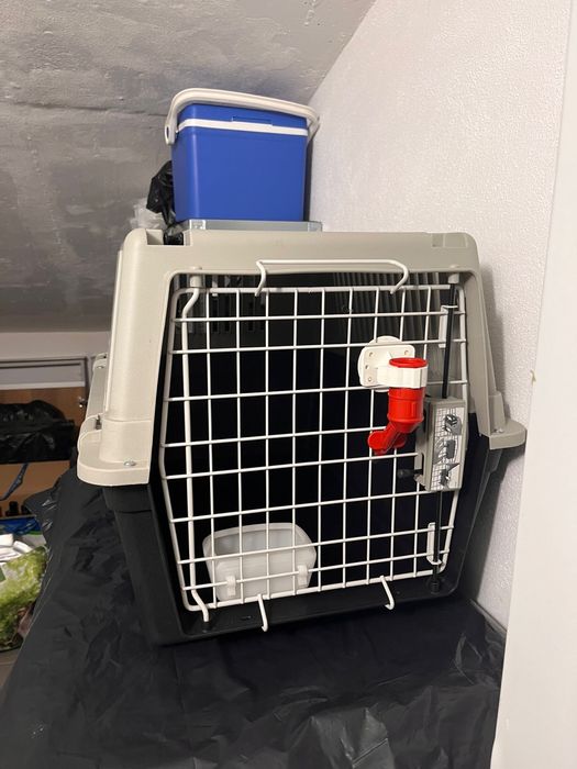 Caixa Transporte Cão