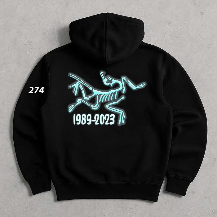 Биг Лог Принт • Arcteyx Худи Черное • MultiBird • Артерикс Кофта Чорна