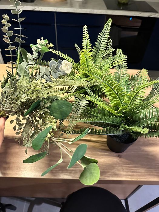 Zestaw sztucznych roslin Ikea