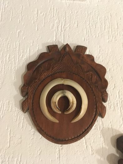 Trofea łowieckie kpl.