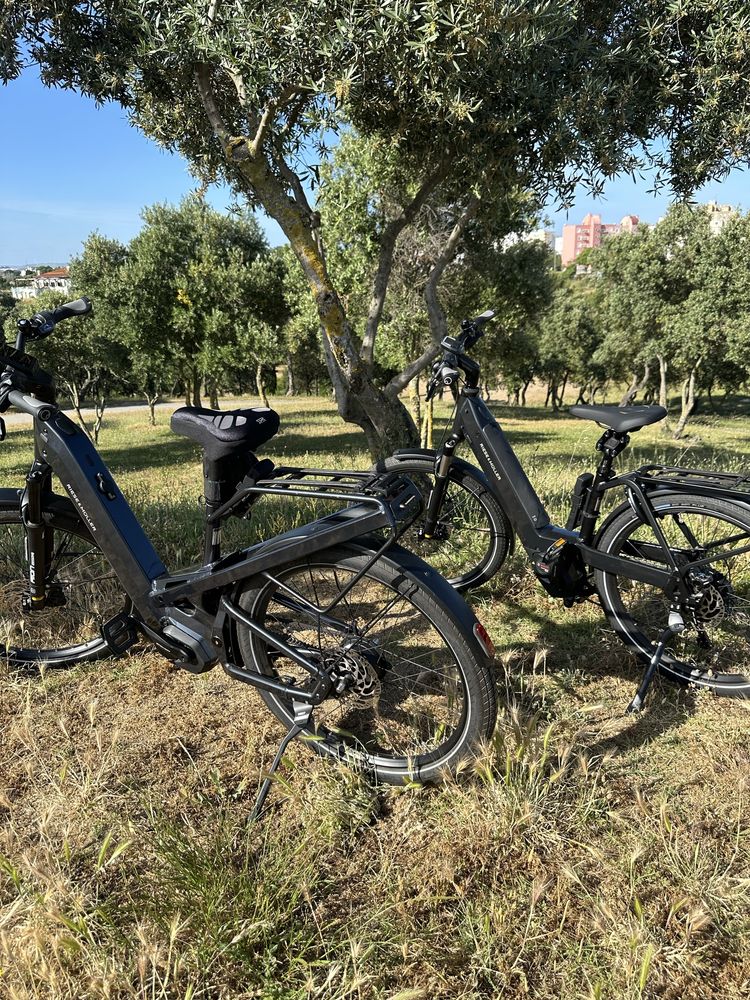 2 bicicletas elecricas riese e Muller