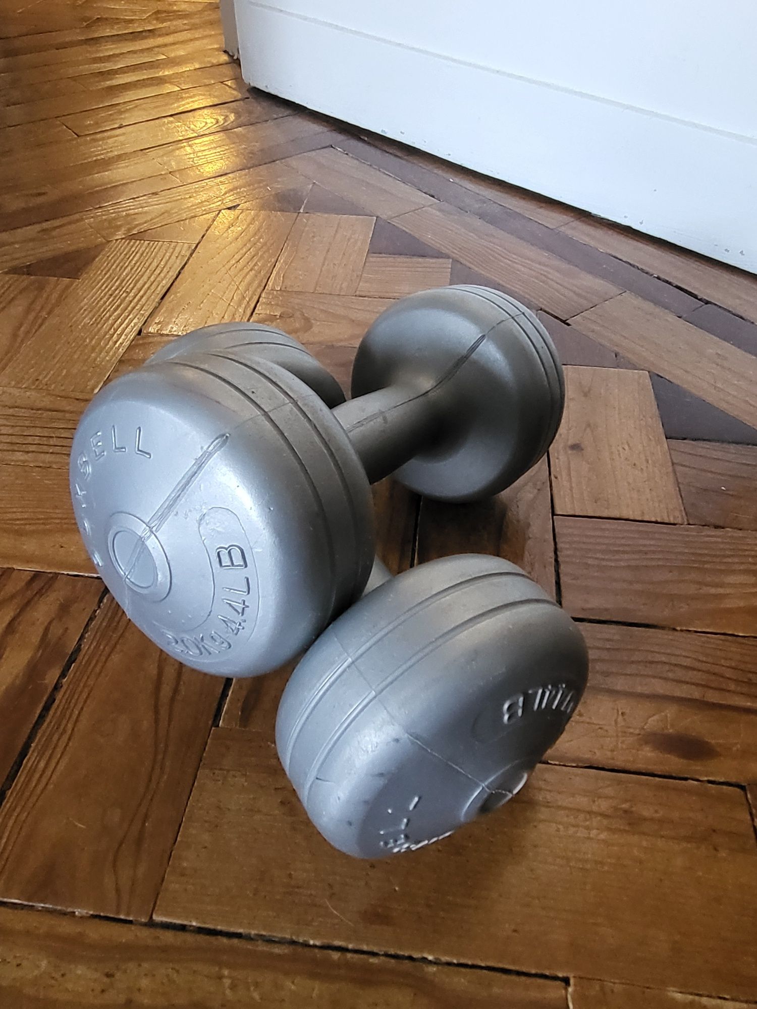 Alteres 2 kg DUMBELL