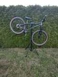 Rower Kellys whip 70 dirt
