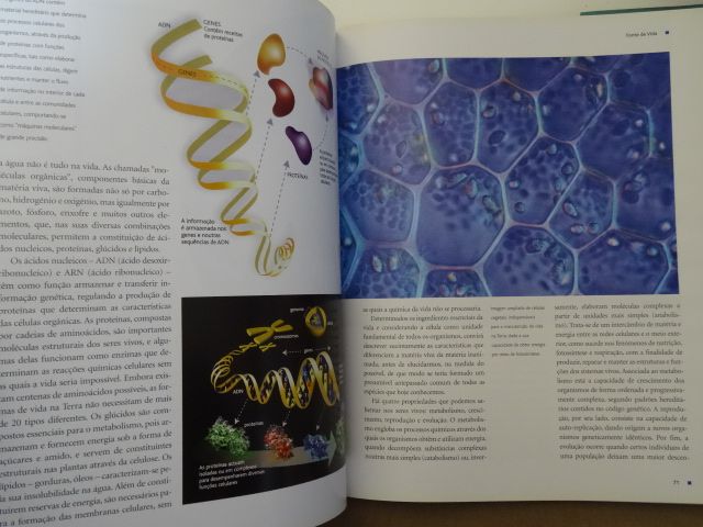O Livro da Água de Luís Serrão