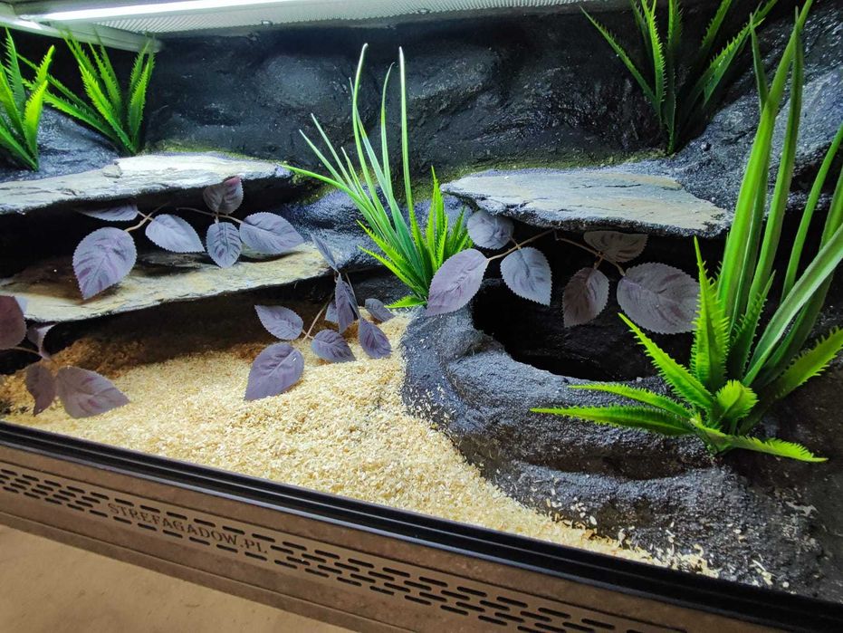 Terrarium tropikalne nr666 80/40/40 dla węża boa pyton NA ZAMÓWIENIE