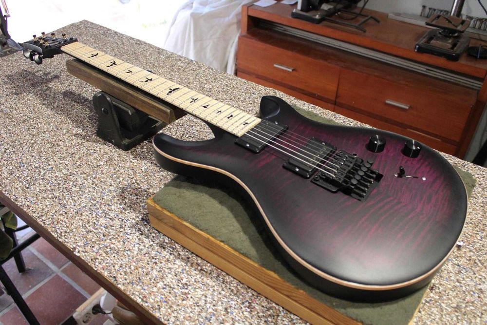 PRS CE 24 Dustie Waring