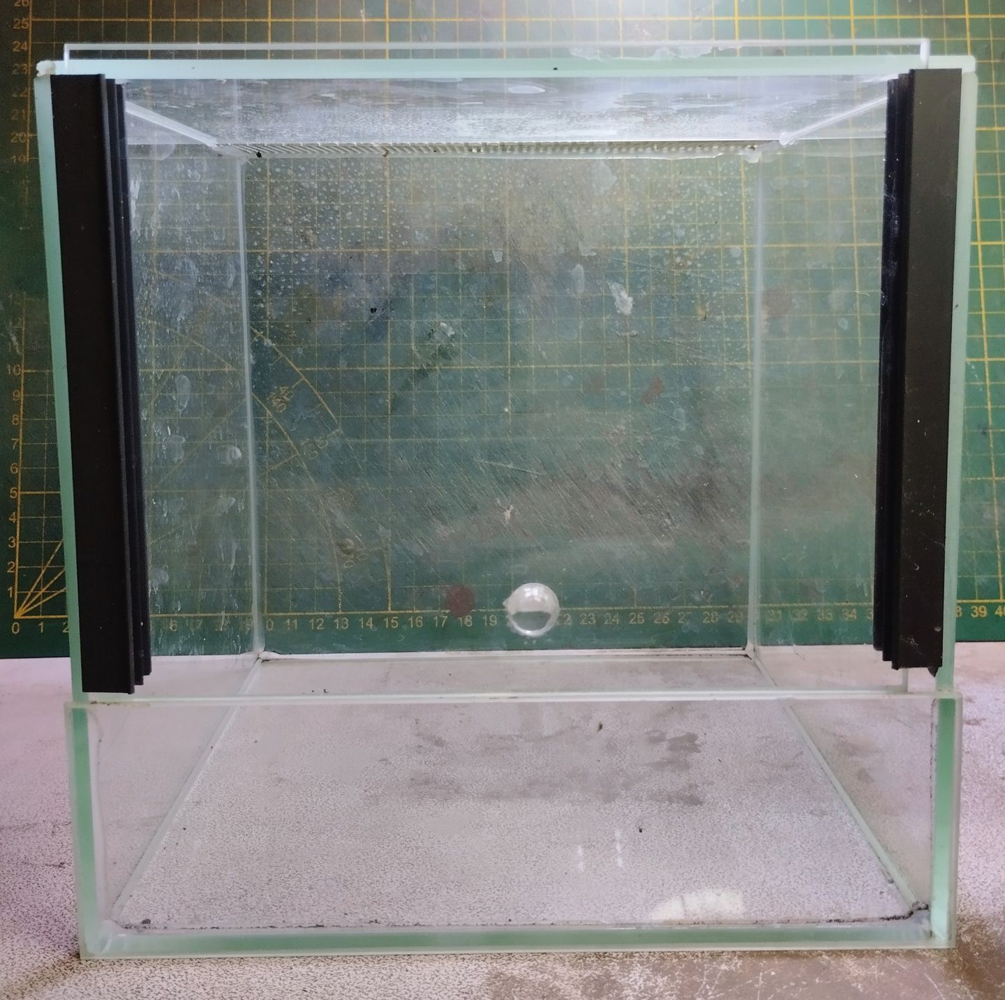Terrarium dla pająka, patyczaka, straszyka.
