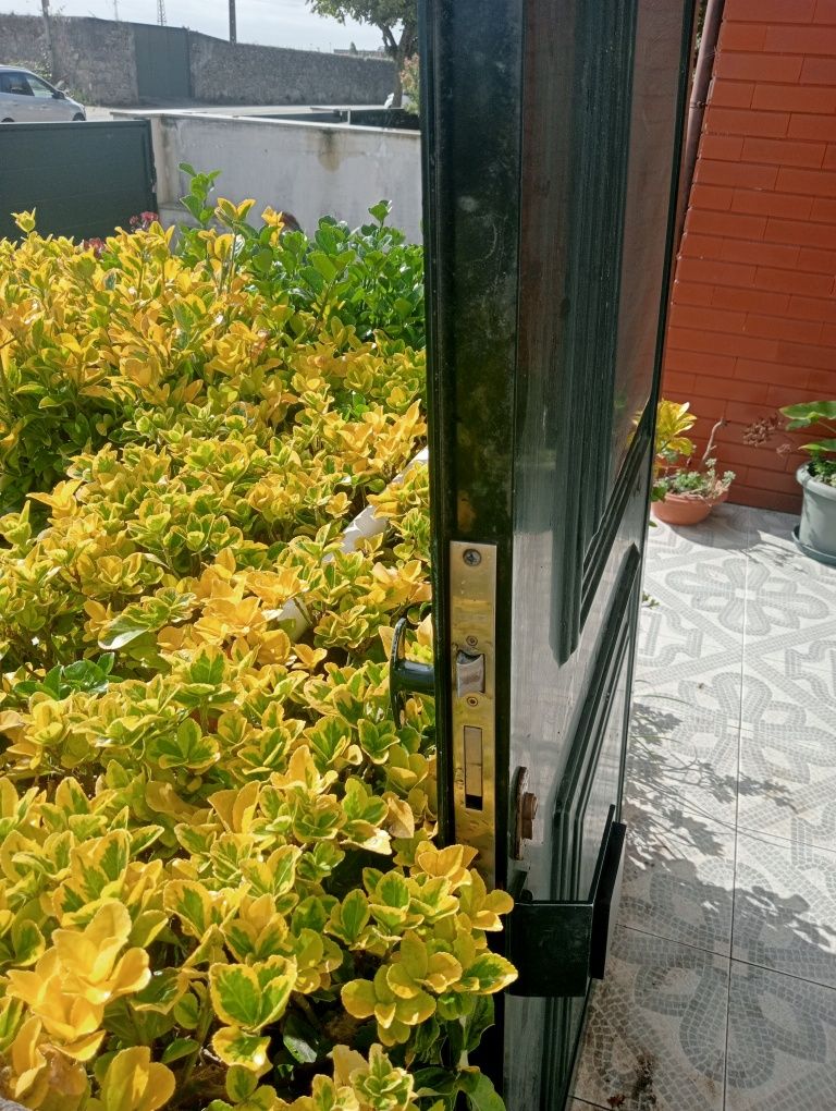 Porta de entrada em alumínio