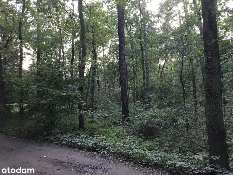 Działka budowlana z możliwością zabudowy jednorodzinnej - Sękocin Las