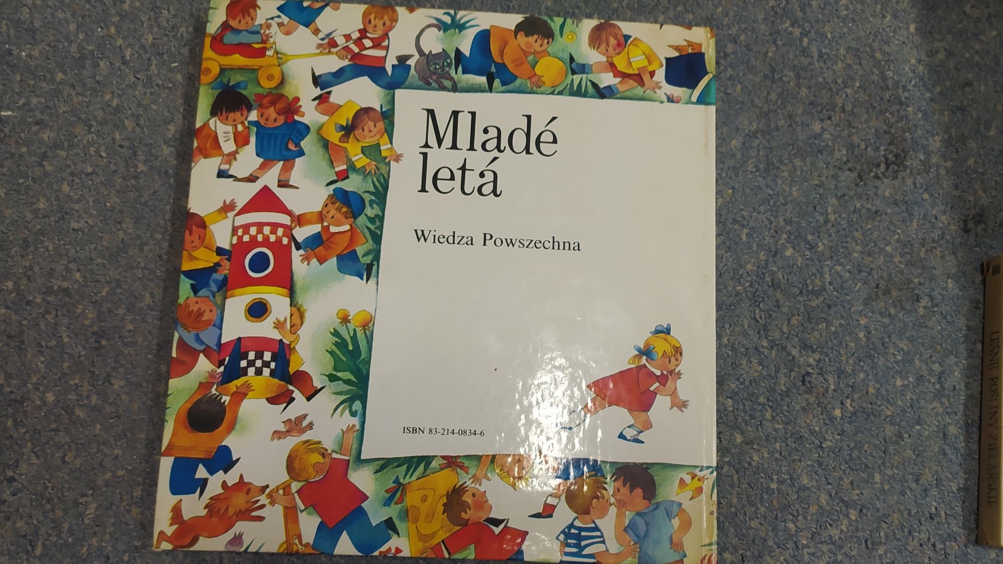 Ilustrowany podręcznik jezyka angielskiego dla dzieci