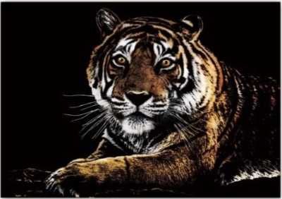 Magiczna Zdrapka - Tygrys 40,5x28,5cm - praca zbiorowa