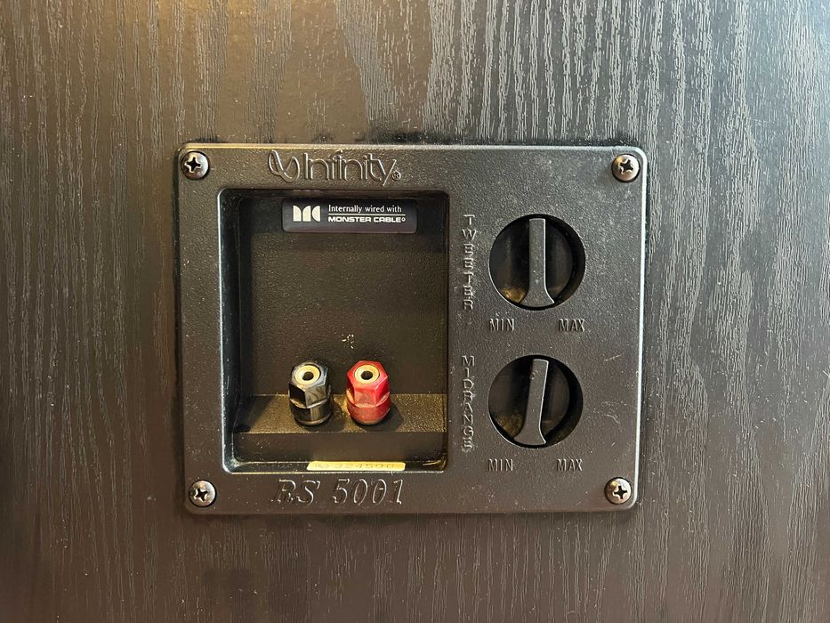 Kolumny podłogowe Infinity RS 5001 Audio Room