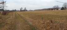 Działka Dębe Wielkie 1200m