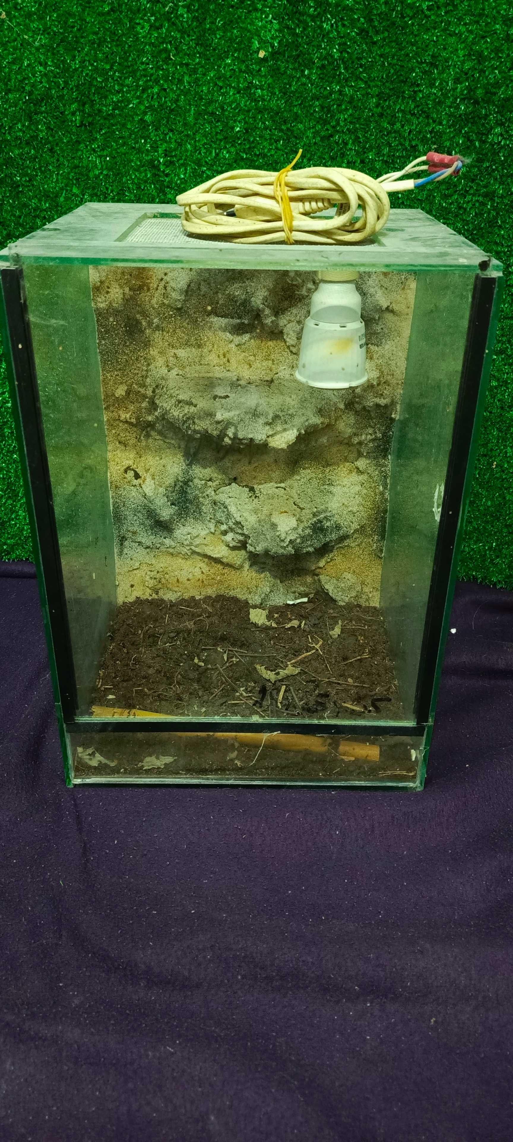 Terrarium Terraria od 80