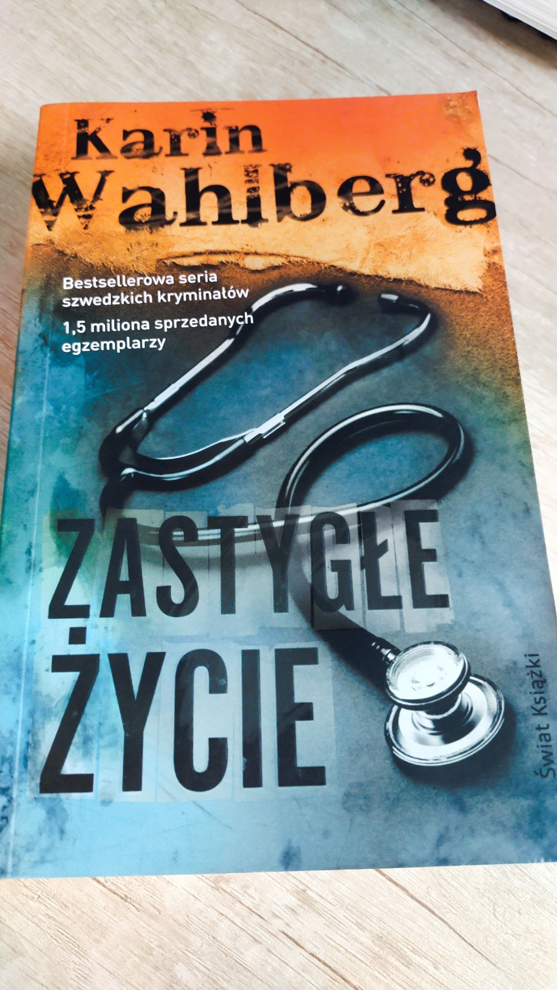 Zastygłe życie Karin Wahlberg