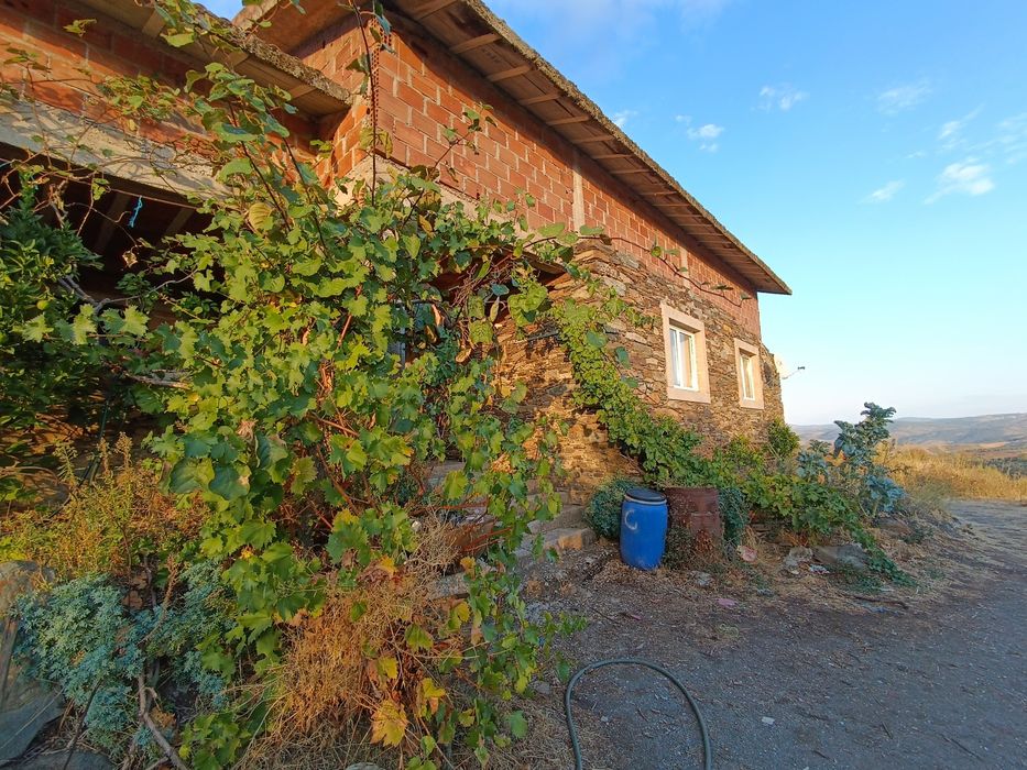 Quinta com 1,7 hectares e casa de 3 andares – Peredo, Macedo de Cavale
