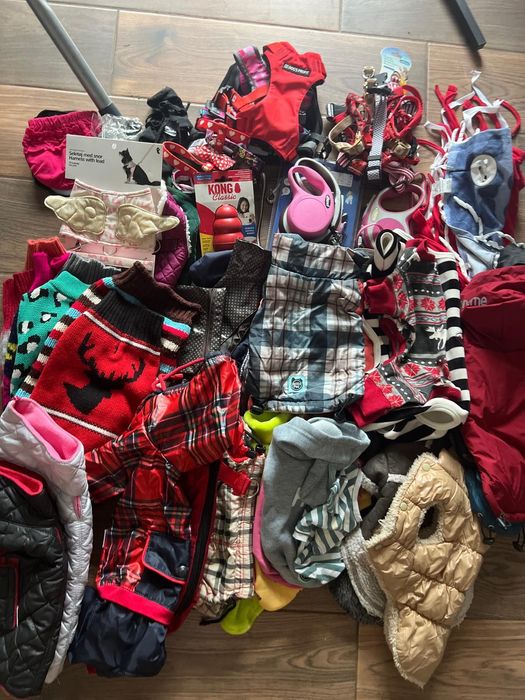 Ubranko york, Maltańczyk, chihuahua, kurteczka, bluza, sweterek, flexi