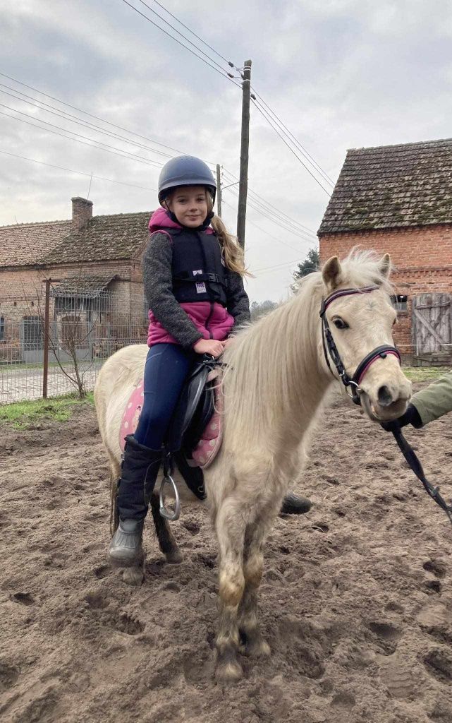 Przyszłościowy kucyk