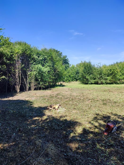 Czyszczenie działek wycinka drzew zrebkowanie koszenie