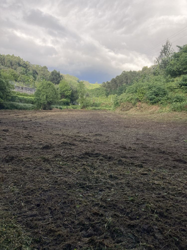 Limpezas de Terrenos e Florestais