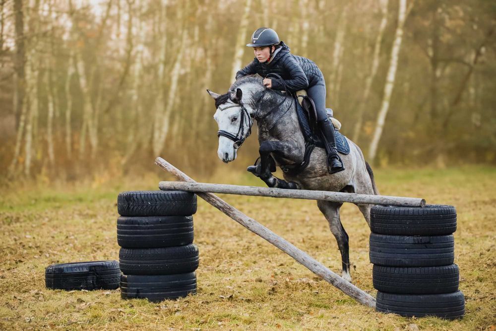 Ogier kuc feliński 4 lata