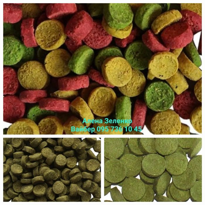 Анцитрус таблетки донні, coppens, , Креветка, Ракоподібні тварин