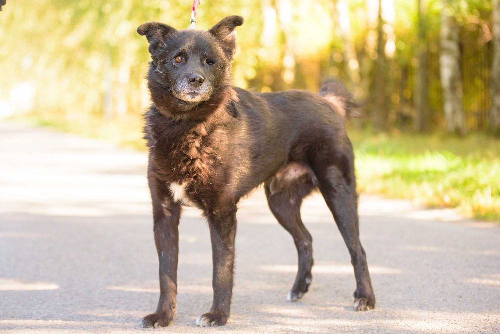 SPARTUS - patrzy tylko jednym oczkiem ale pokocha całym sercem