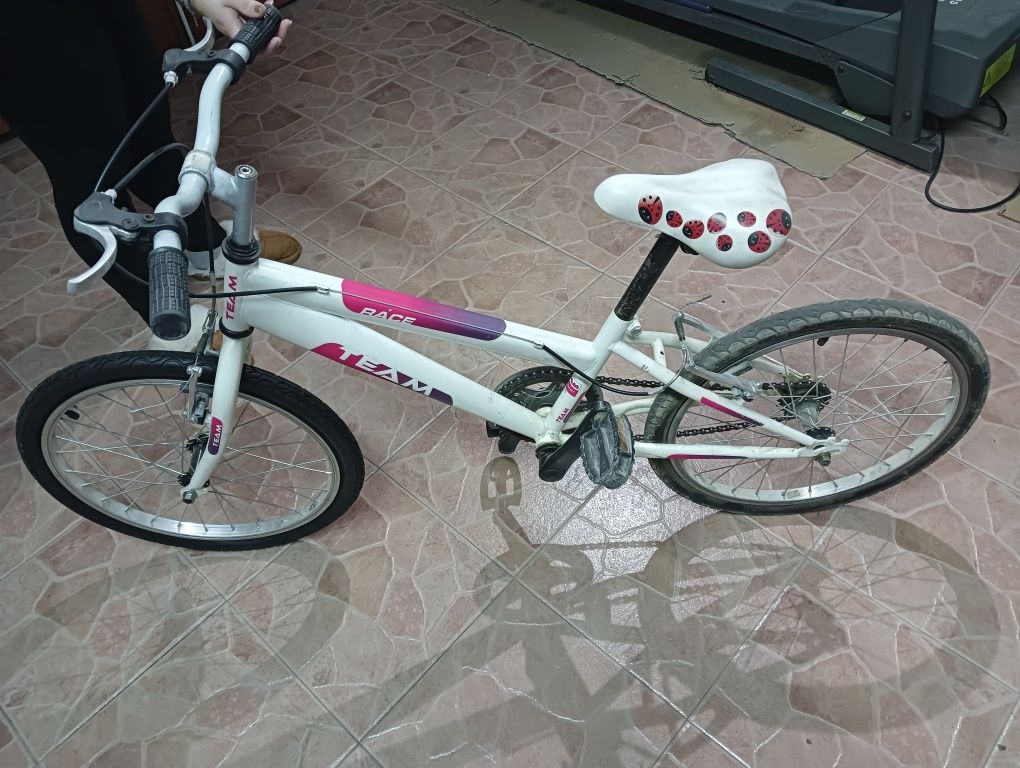 Bicicleta criança roda 20