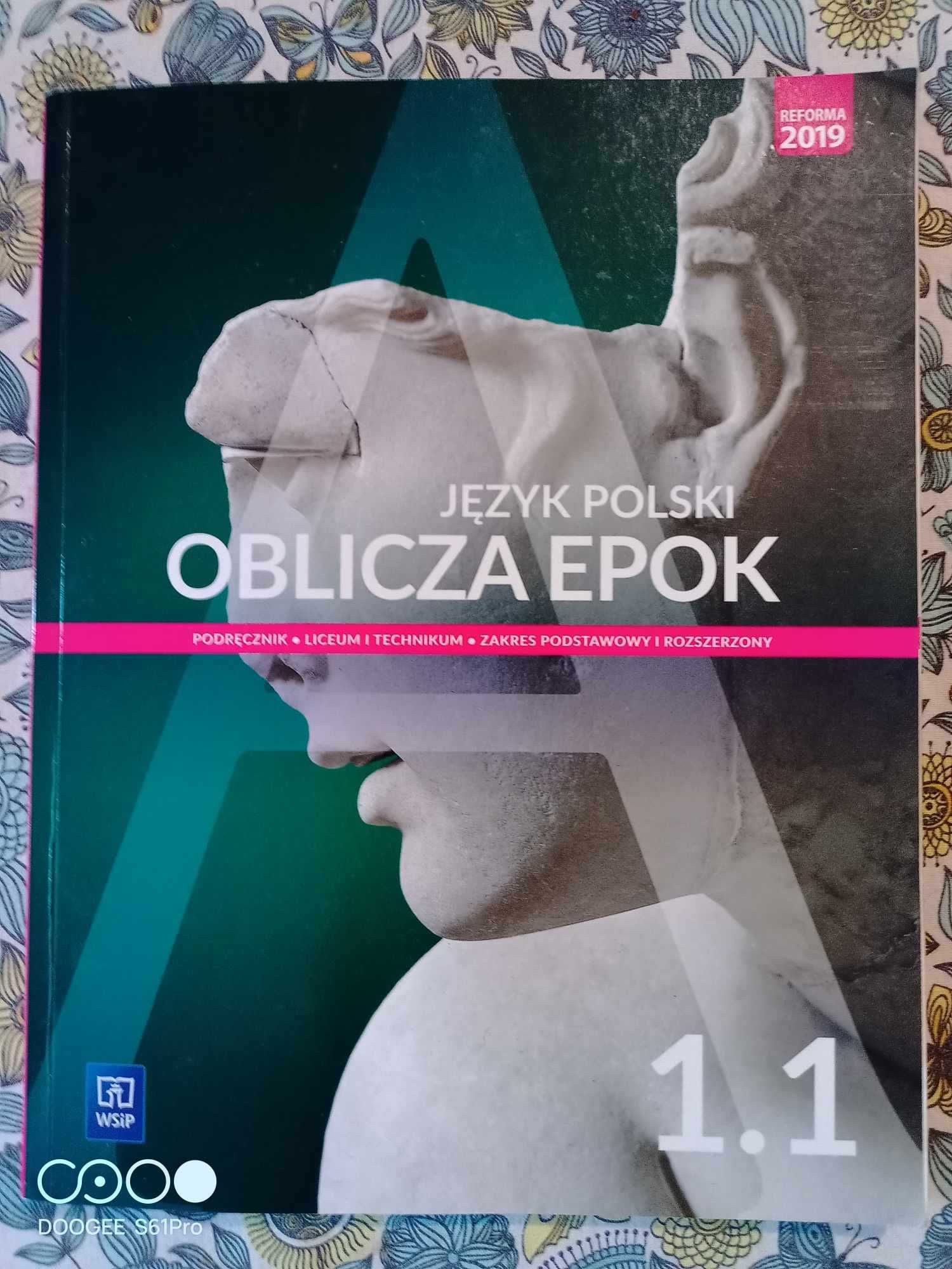 Oblicza epok 1.1 Język polski WSiP