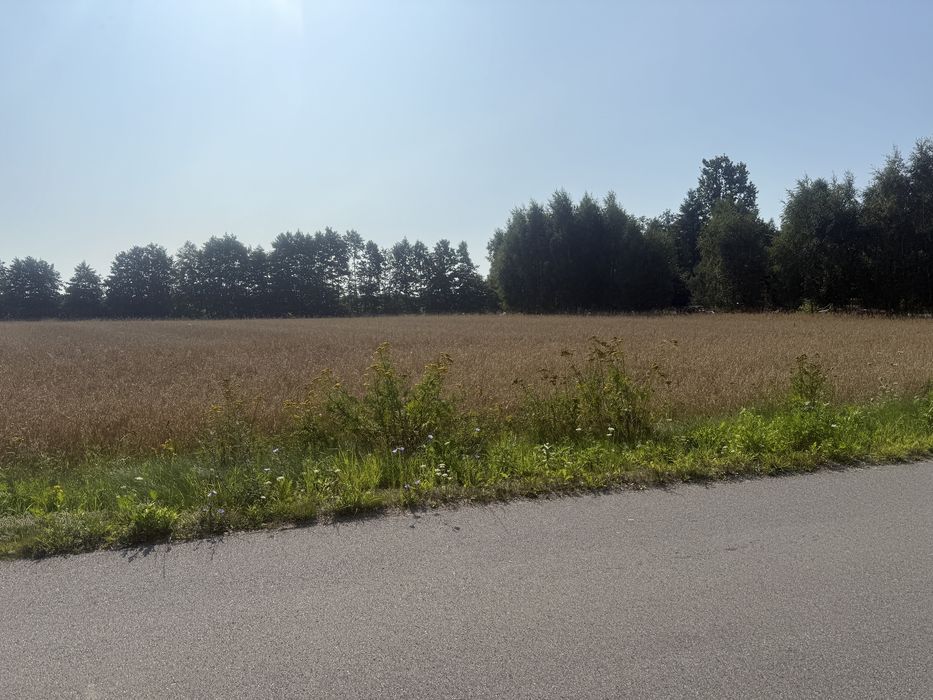 Działka budowlana koło gostynina -kościuszków